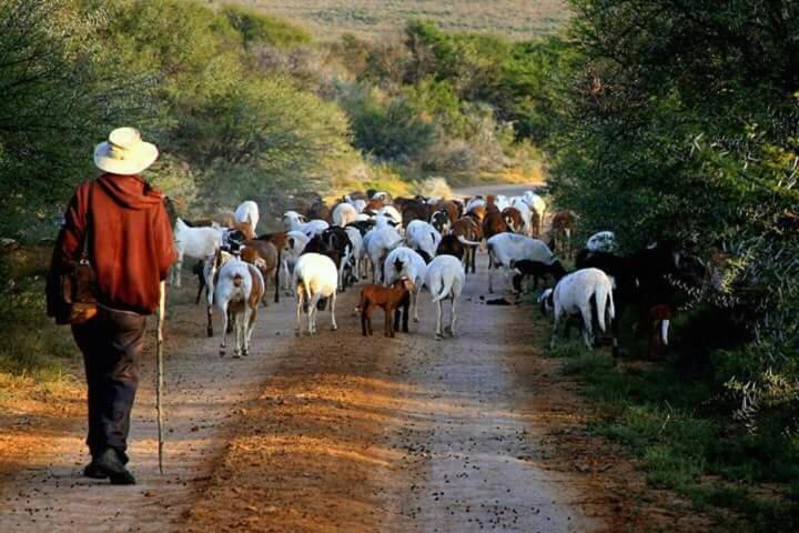 Waterval Farmstay Graaff-Reinet Екстериор снимка